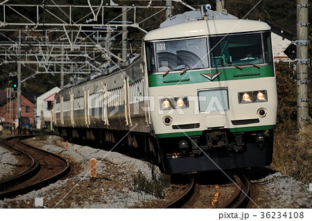 185系特急電車 36234108