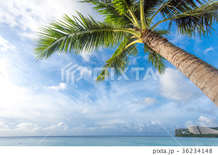 グアム　タモンビーチ 36234148