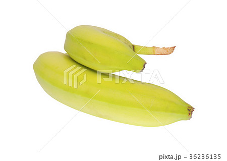 Unripe bananas on a white background Unripe bananas on a white background 36236135