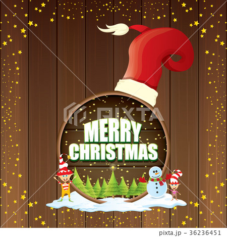 vector Christmas label with red santa hat, tree 36236451