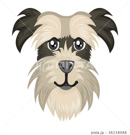 Schnauzer Avatar Portrait 36238088