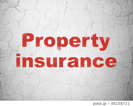 Insurance concept: Property Insurance on wall Insurance concept: Property Insurance on wall 36238721