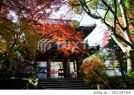 功山寺 紅葉の写真素材