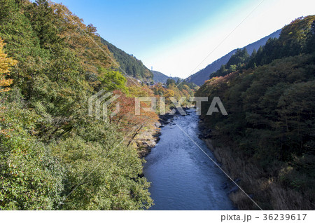 寸庭橋 紅葉の渓谷 寸庭橋 紅葉の渓谷 36239617