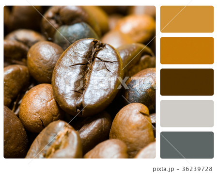 Coffee beans colour palette swatch 36239728