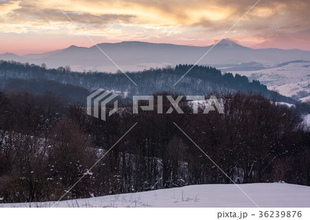 leafless forested hills at winter dawn 36239876