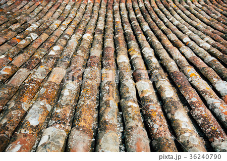 Old slate from the roof 36240790