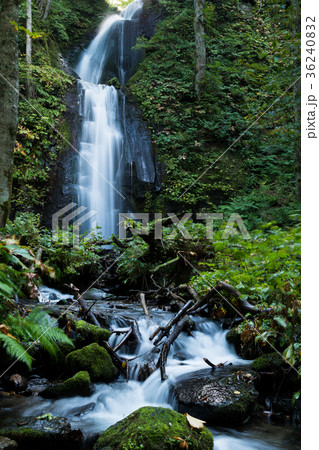 雲井の滝　奥入瀬渓流　[青森県] 36240832