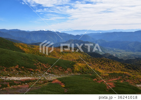 紅葉の乗鞍岳 乗鞍エコーライン森林限界の紅葉 紅葉の乗鞍岳 乗鞍エコーライン森林限界の紅葉 36241018