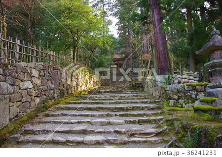 湖東三山 湖東三山 36241231