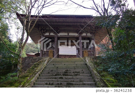 湖東三山 36241238