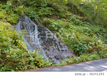 玉簾の滝　奥入瀬渓流　[青森県] 36241263