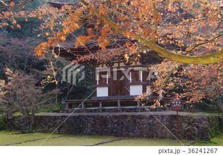湖東三山 湖東三山 36241267