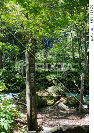 不老の滝　奥入瀬渓流　[青森県] 36241329