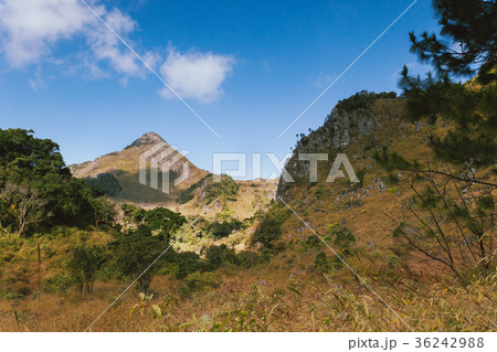 Landscape view of Chiang dao mountain area. 36242988