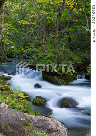 石ヶ戸の瀬　奥入瀬渓流　[青森県] 36243485