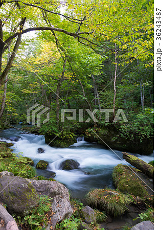 石ヶ戸の瀬　奥入瀬渓流　[青森県] 36243487