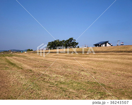 川のある風景(薩摩川内市） 36243507