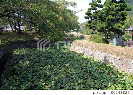 龍岡城跡 屈曲する水堀 龍岡城跡 屈曲する水堀 36243827