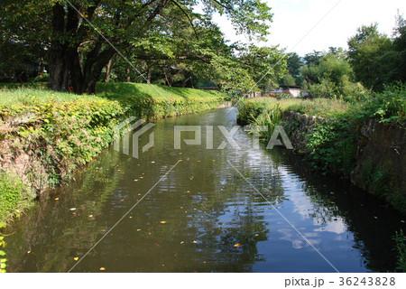 龍岡城跡　屈曲する水堀 36243828