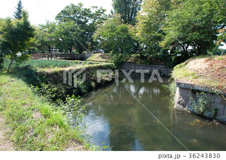 龍岡城跡　屈曲する水堀 36243830