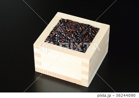 黒米朝紫 36244090