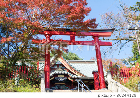 高尾山 高尾山薬王院 本社(権現堂)鳥居 高尾山 高尾山薬王院 本社(権現堂)鳥居 36244129