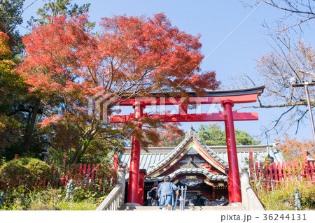高尾山　高尾山薬王院　本社（権現堂）鳥居 36244131