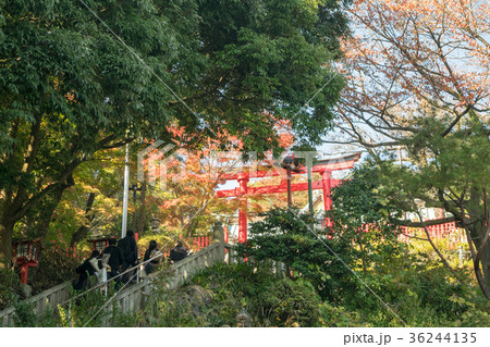 高尾山 高尾山薬王院 本社(権現堂)鳥居 高尾山 高尾山薬王院 本社(権現堂)鳥居 36244135