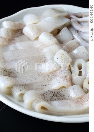 スルメイカの下拵え 36244140