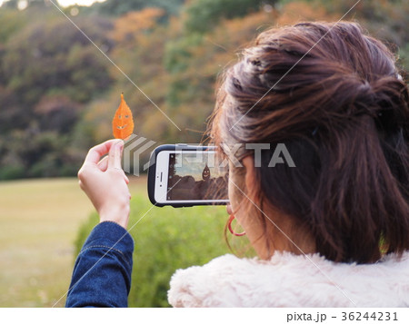 葉っぱのオバケ 葉っぱのオバケ 36244231