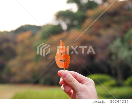 葉っぱのオバケ 葉っぱのオバケ 36244232