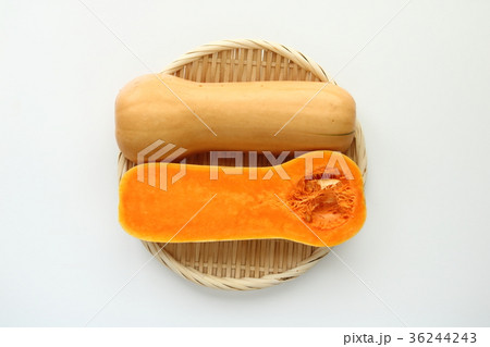 バターナッツカボチャ バターナッツカボチャ 36244243