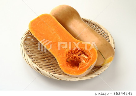 バターナッツカボチャ バターナッツカボチャ 36244245