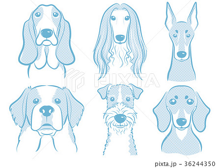 犬のイラスト 36244350