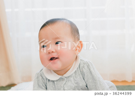 5 months old 5 months old 36244399