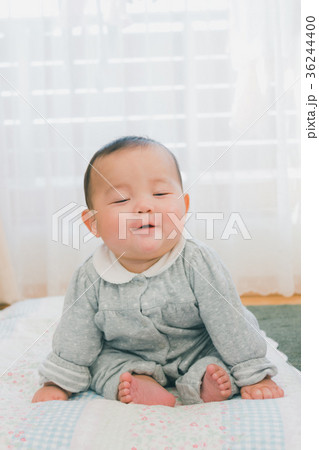 5 months old 5 months old 36244400