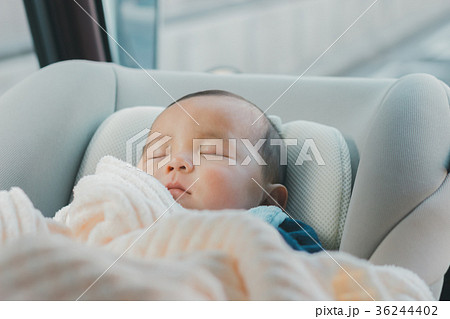 5 months old 5 months old 36244402