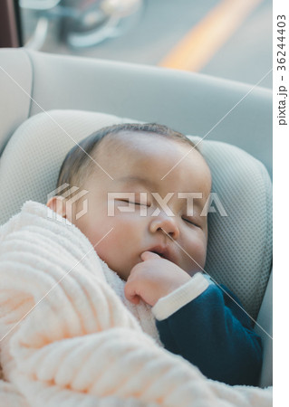 5 months old 5 months old 36244403