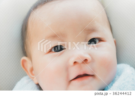 5 months old 5 months old 36244412