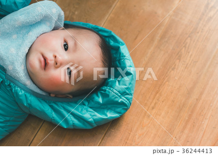 5 months old 5 months old 36244413