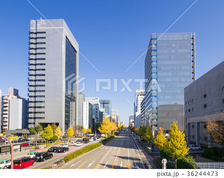 名古屋市 丸の内 都市風景 日銀前交差点 桜通りの銀杏並木と高層ビル群 名古屋市 丸の内 都市風景 日銀前交差点 桜通りの銀杏並木と高層ビル群 36244473