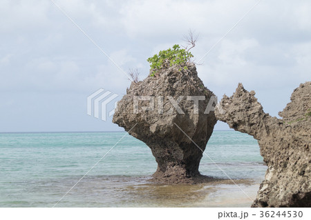 伊原間サビチ鍾乳洞を抜けたところにある海 36244530