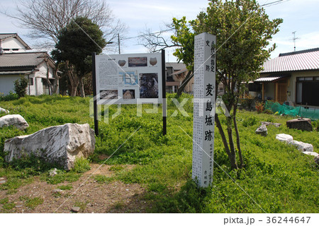 麦島城　天守台跡 36244647