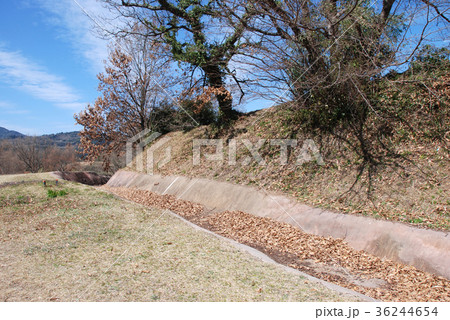 宇土古城跡　千畳敷と周囲の空堀 36244654