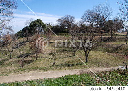 宇土古城跡　千畳敷周囲の腰郭 36244657