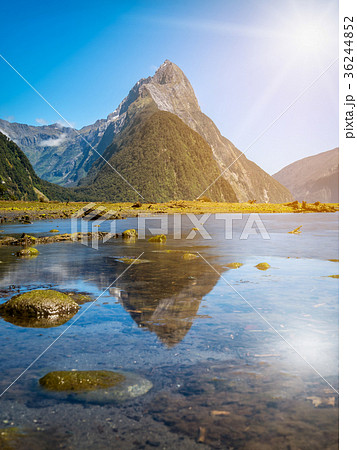 Milford Sound in New Zealand Milford Sound in New Zealand 36244852