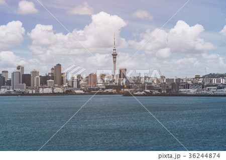 Auckland city skyline, New Zealand 36244874