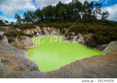 Devil's cave pool in Wai-O-Tapu, Rotorua. Devil's cave pool in Wai-O-Tapu, Rotorua. 36244936