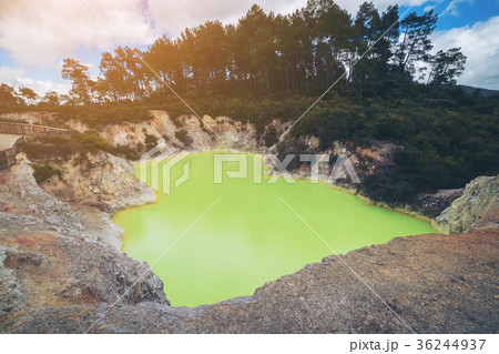 Devil's cave pool in Wai-O-Tapu, Rotorua. Devil's cave pool in Wai-O-Tapu, Rotorua. 36244937